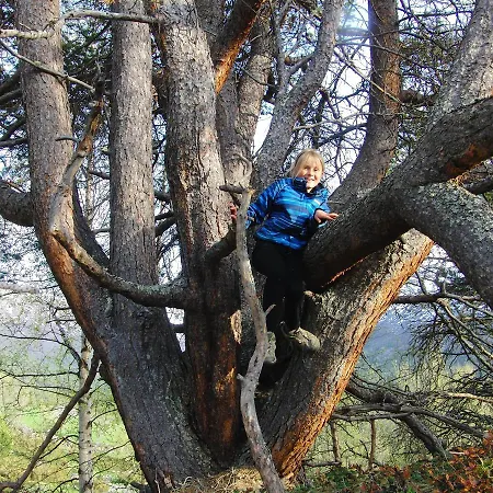 Strind Gard, Visdalssetra * Boverdalen