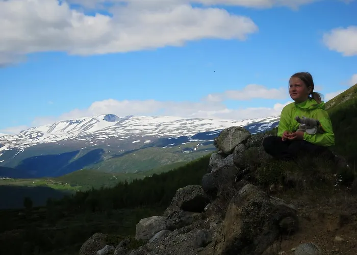 Lodge Strind Gard, Visdalssetra Boverdalen